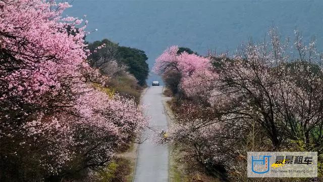 成都租車去拉薩提前預(yù)定很必要