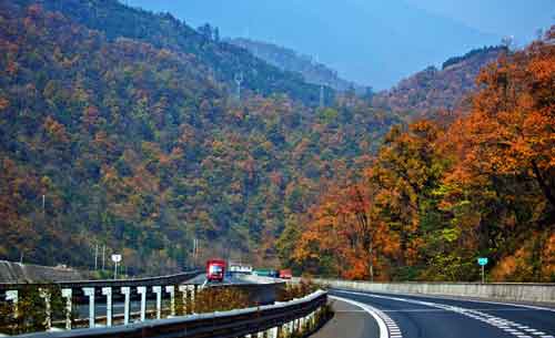 秋游正當(dāng)時(shí)！成都租車旅游選哪一條？